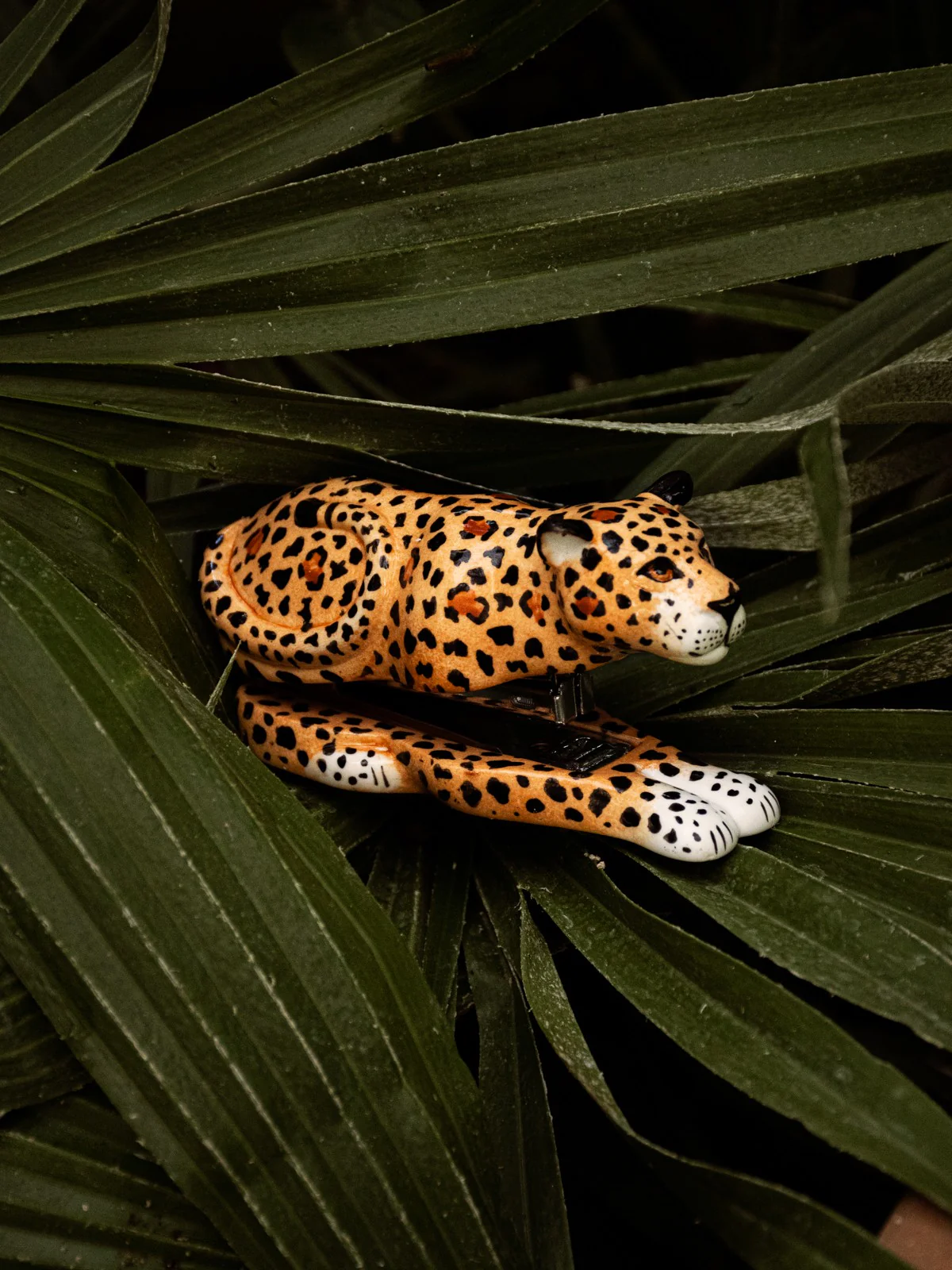 Miniature 1